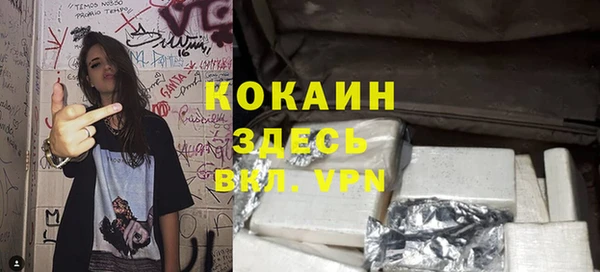 шишки Алексин