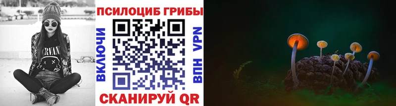 Галлюциногенные грибы Psilocybe Копейск